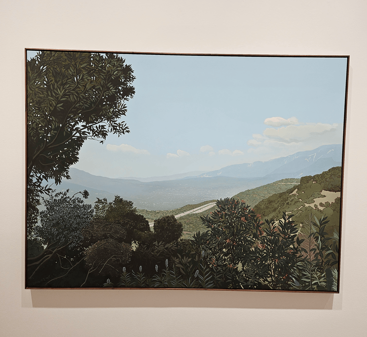 Jake Longstreth - View From Above The Glendale Sports Complex